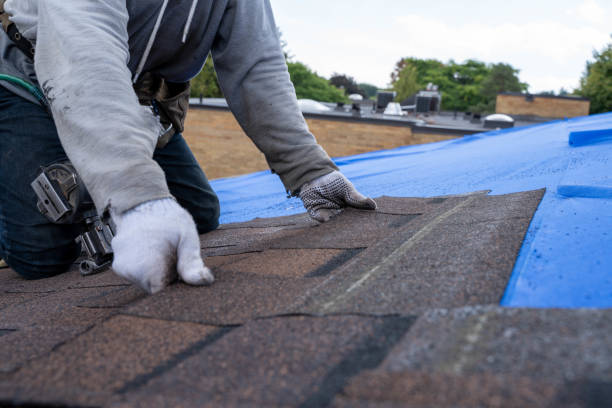 Best Roof Repair Services  in Wilson, WY