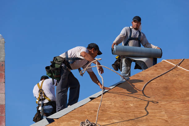 Roof Gutter Cleaning in Wilson, WY