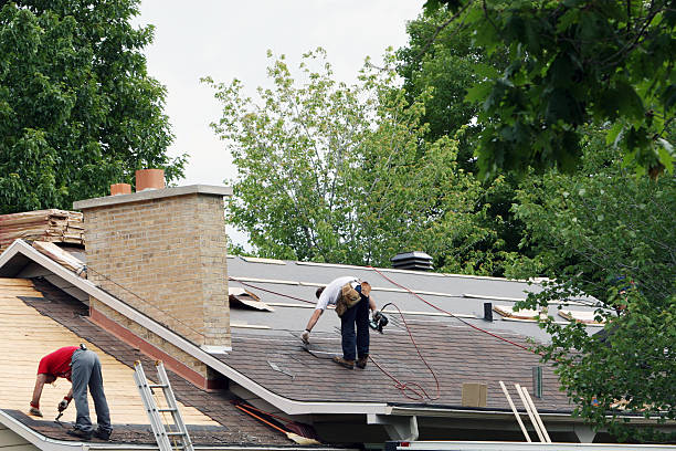 Best Metal Roofing Contractor  in Wilson, WY