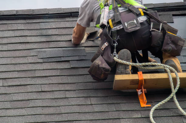 Best Roof Gutter Cleaning  in Wilson, WY