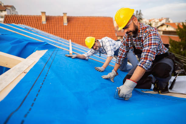 Best Gutter Installation and Roofing  in Wilson, WY